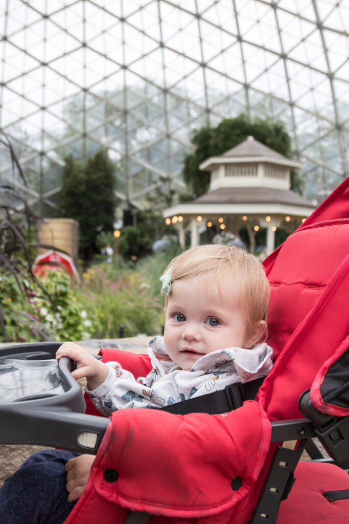 Annie Summer Domes Show 2024