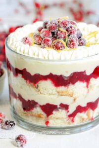 Cranberry Trifle Spend with Pennies