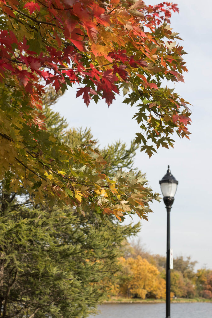 Frame Park