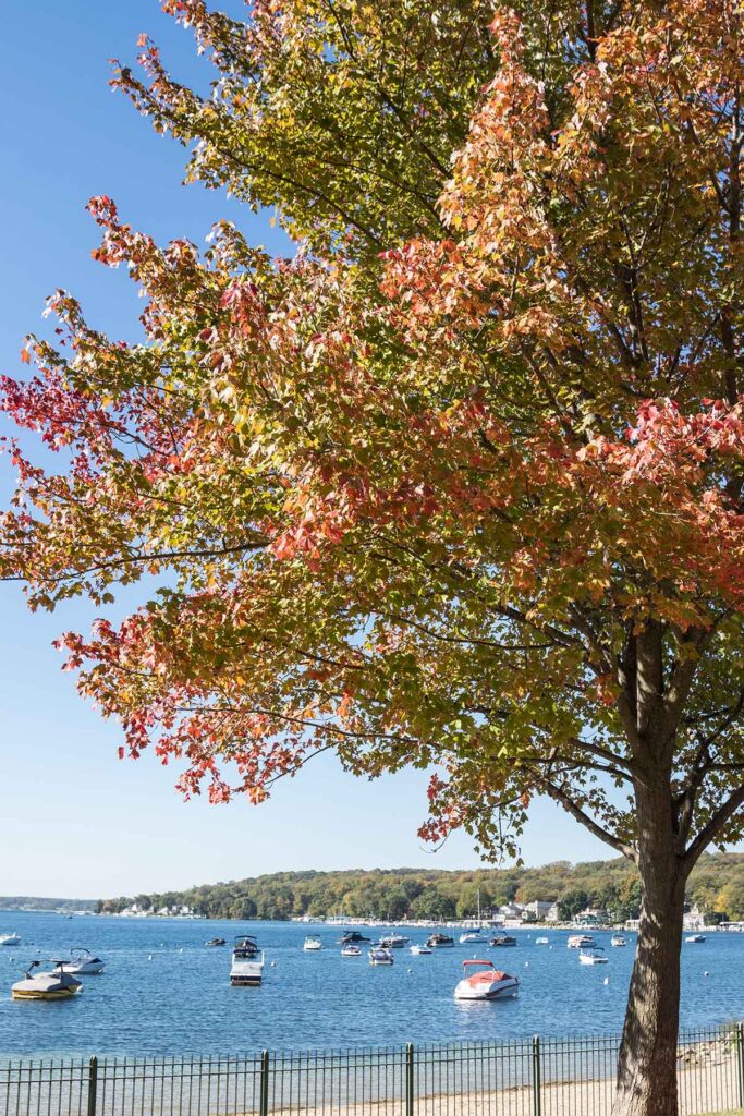 Lake Geneva
